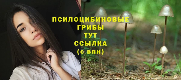ALPHA PVP Верхний Тагил