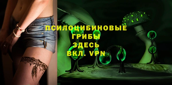 гашик Бронницы